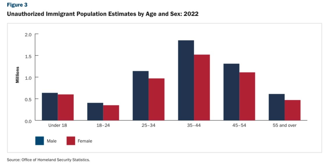 Undocumented Immigrants In USA By Age