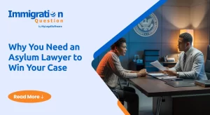 Asylum Lawyer
