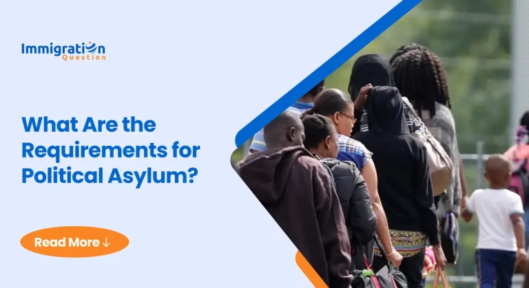 Political Asylum