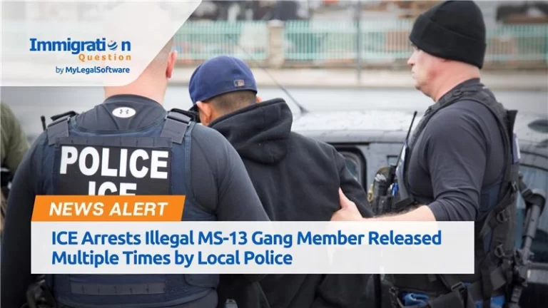 ICE Arrests Illegal MS-13 Gang Member Released Multiple Times by Local Police.