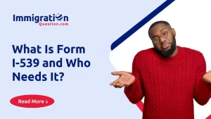 what-is-form-i-539